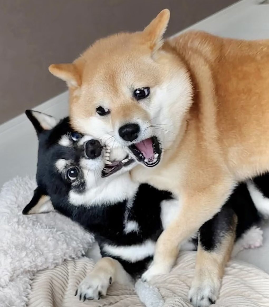 7MMBET: Kanal Hiburan Slot Gacor Online Dengan Diskon Member Baru Paling Legit image 1